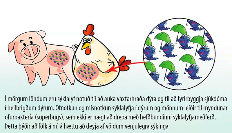 Útbreiðsla sýklalyfjaónæmis er ein helsta heilbrigðisógnin