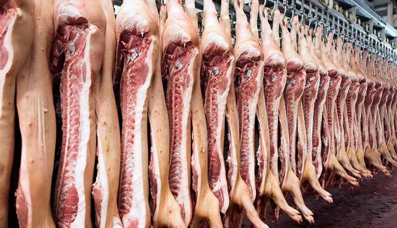 Metútflutningur var á svínakjöti frá Bandaríkjunum á árinu 2019