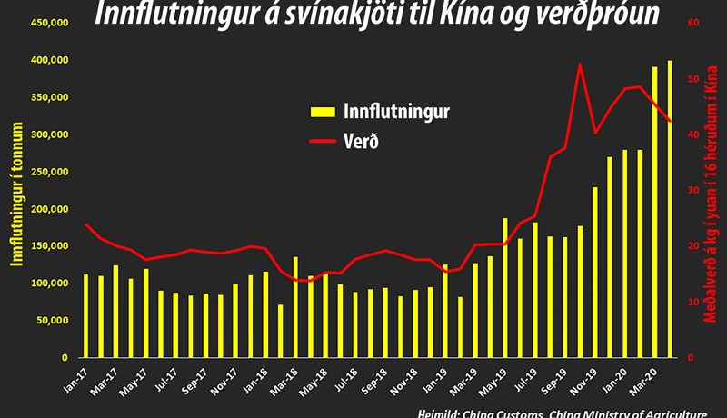 Fjöldi nýrra risasvínabúa rísa í nágrenni stórborga með tugum þúsunda gylta