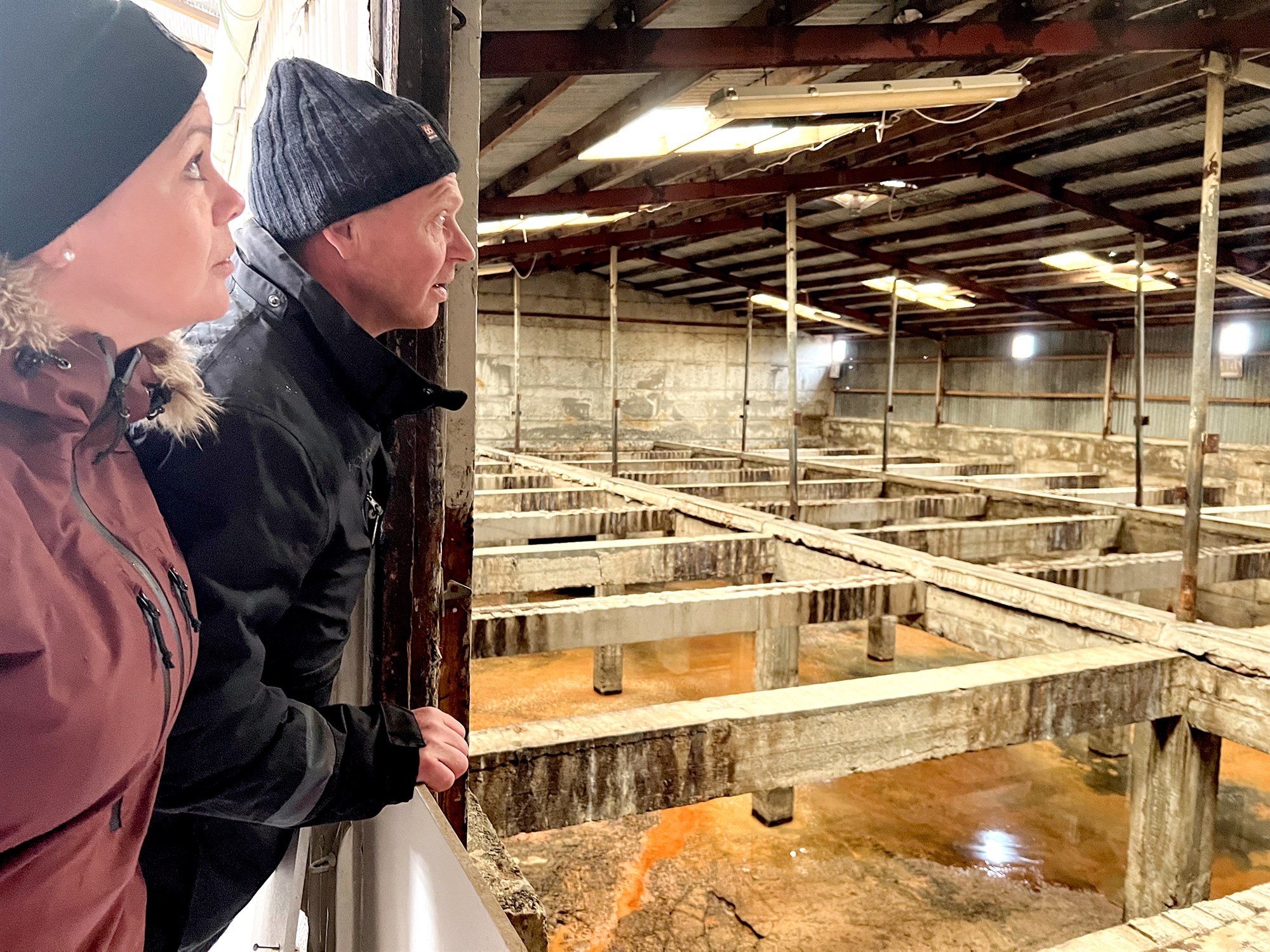 Eftirmál riðuveiki: Afurðatjónsbætur langt undir meðalafurðum og bústofnsbætur duga skammt