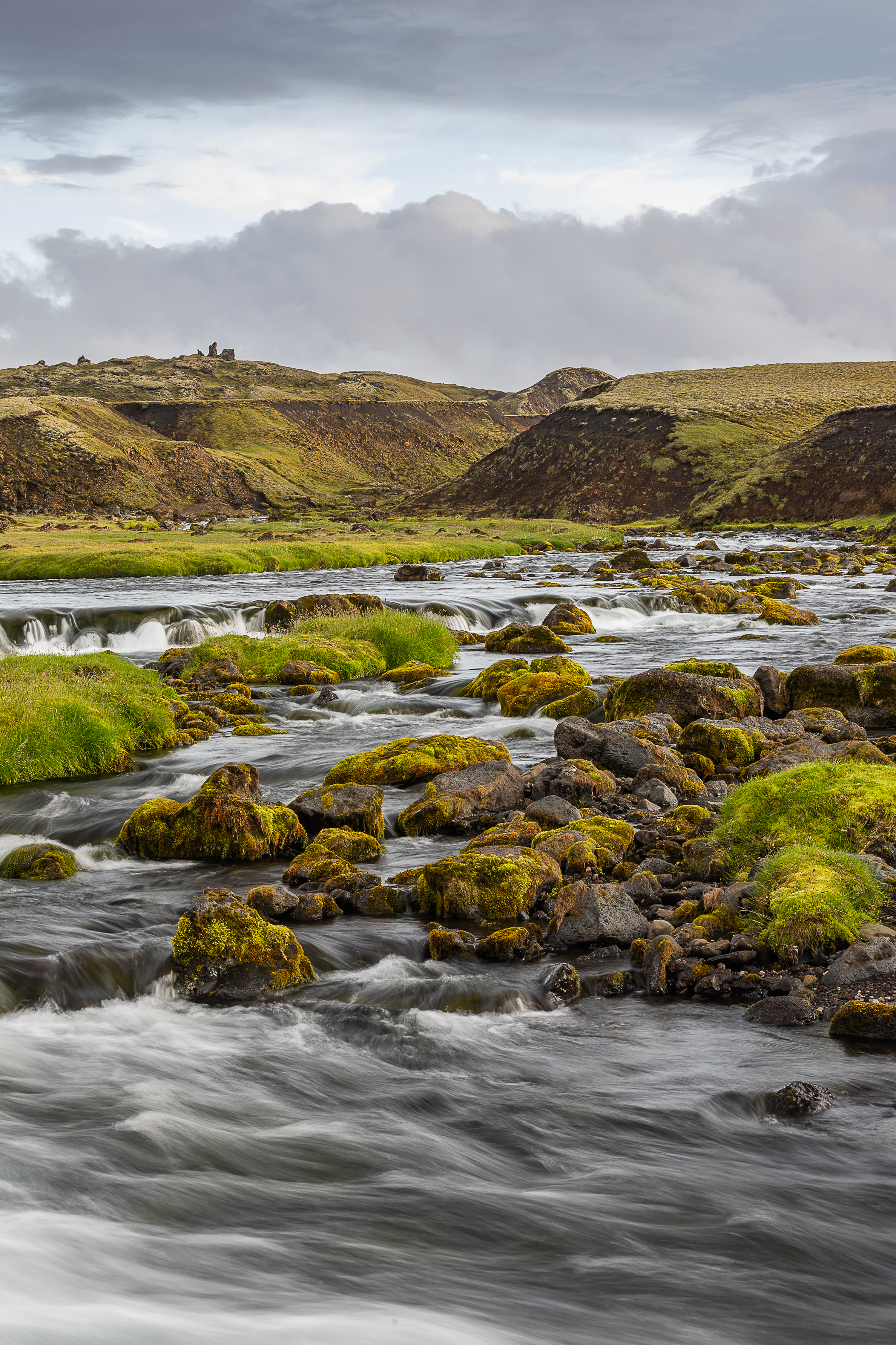 Áhættumat erfðablöndunar og viðbrögð við slysasleppingum