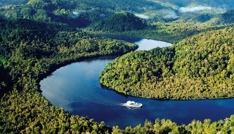 „Ekkert „vegan“ er til sem ekki hefur áhrif á dýralíf”