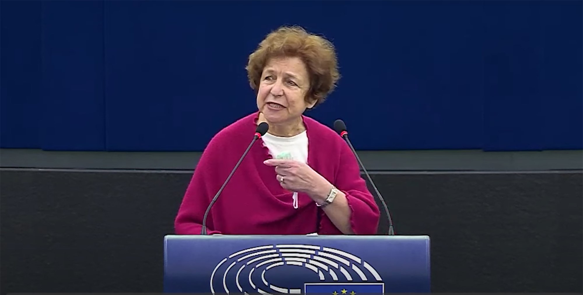 Þingmaður Lettlands á Evrópuþinginu rekinn með valdi úr ræðustól í umræðum um Úkraínu