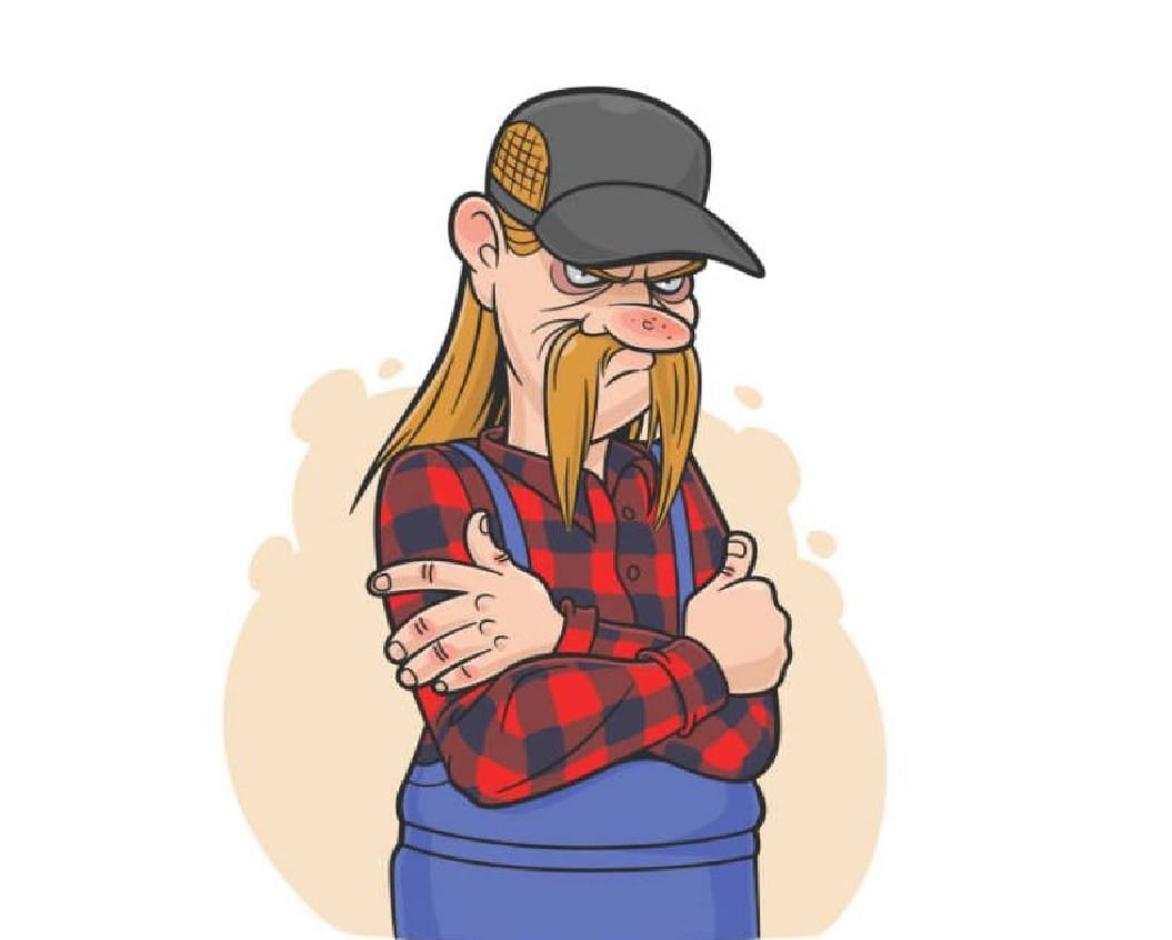 Af kynbótasýningum hrossa