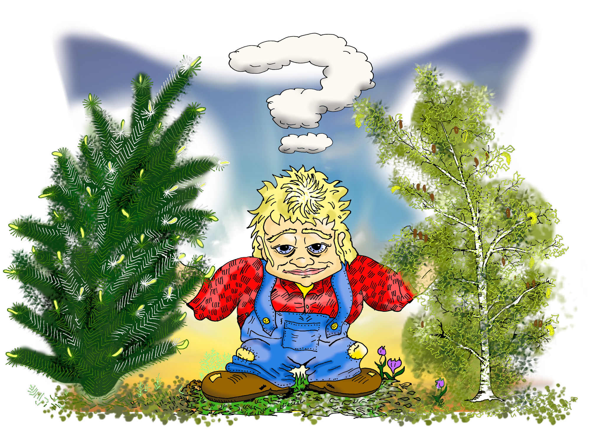 Rýnt í endurskinshæfni skóga