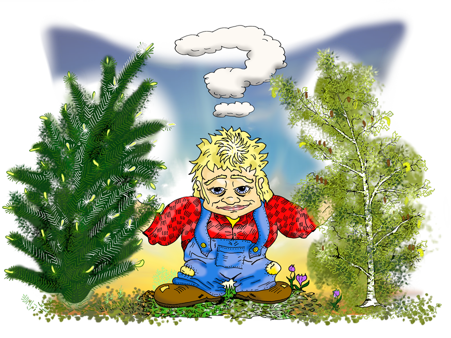 Rýnt í endurskinshæfni skóga