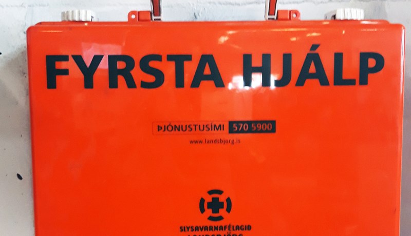 Rétt að verða ár frá fyrstu forvarnarskrifum um COVID-19