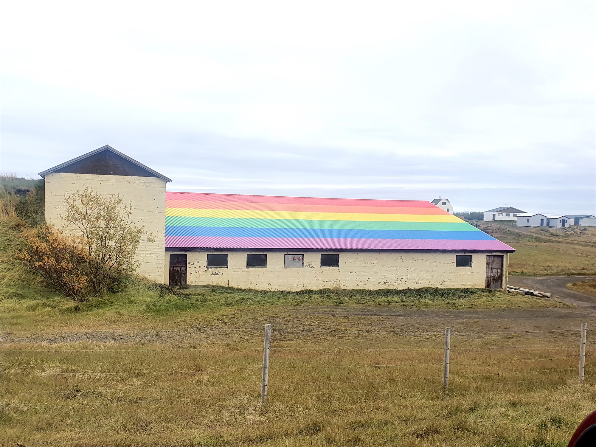 Fjárhúsþak í regnbogalitum