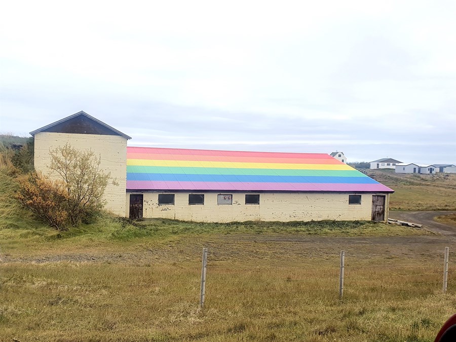 Fjárhúsþak í regnbogalitum