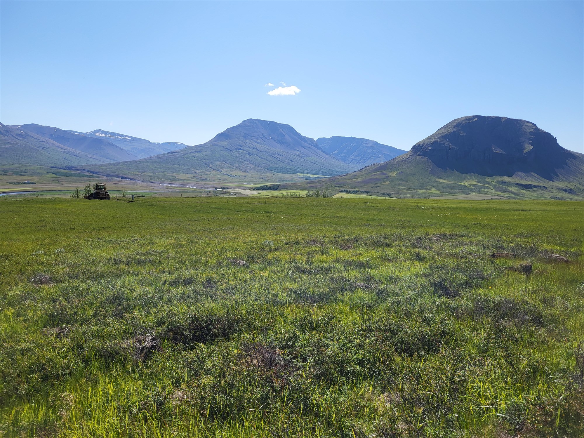 Blóðþyrst kona vill barnakjöt