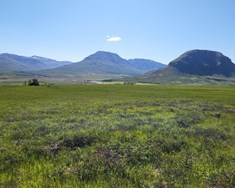 Blóðþyrst kona vill barnakjöt