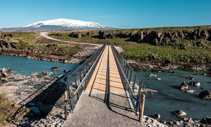 Vegferð viðar og vinnslu