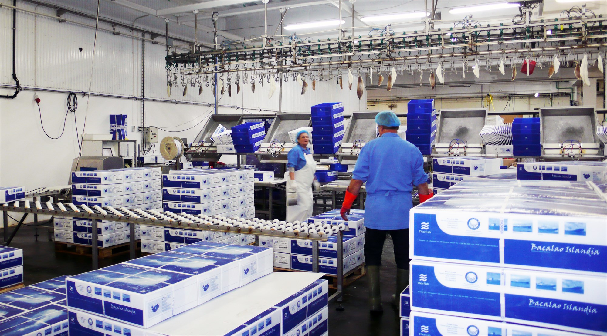 Samþjöppunin í fiskvinnslunni