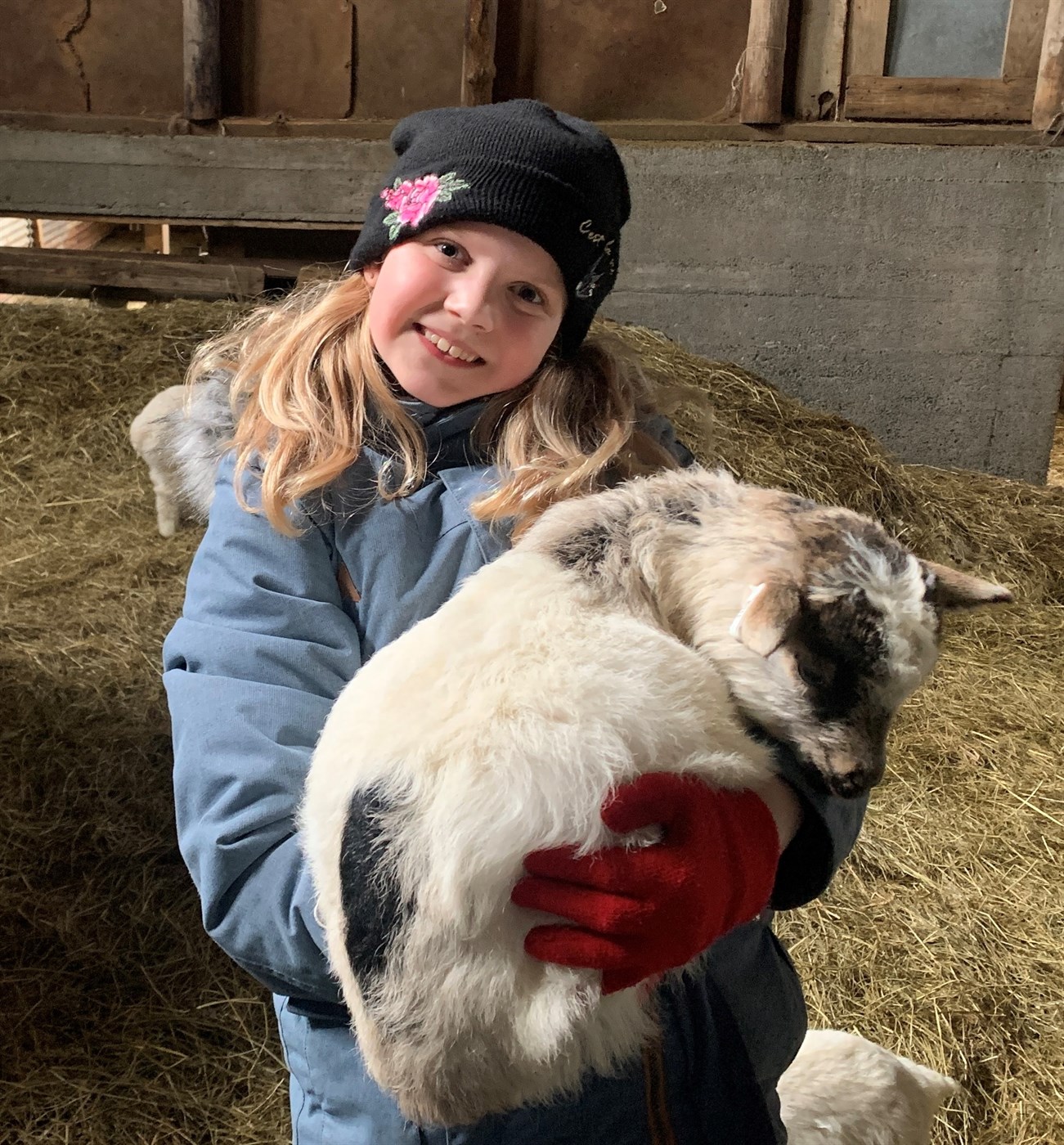 Spennandi að ferðast