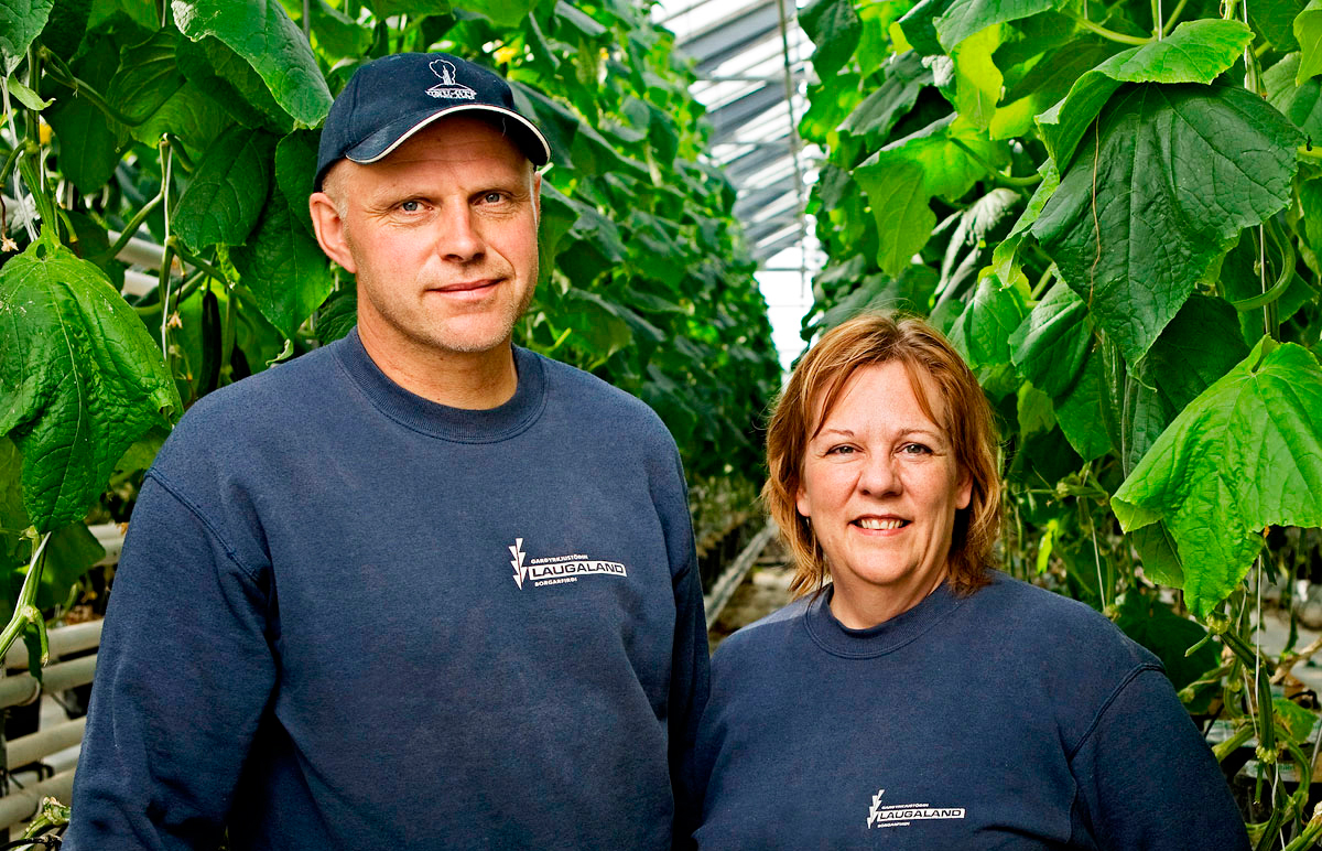 Gúrkuframleiðendur færa út kvíarnar