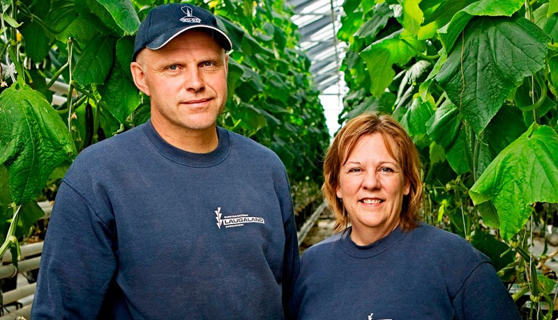 Gúrkuframleiðendur færa út kvíarnar