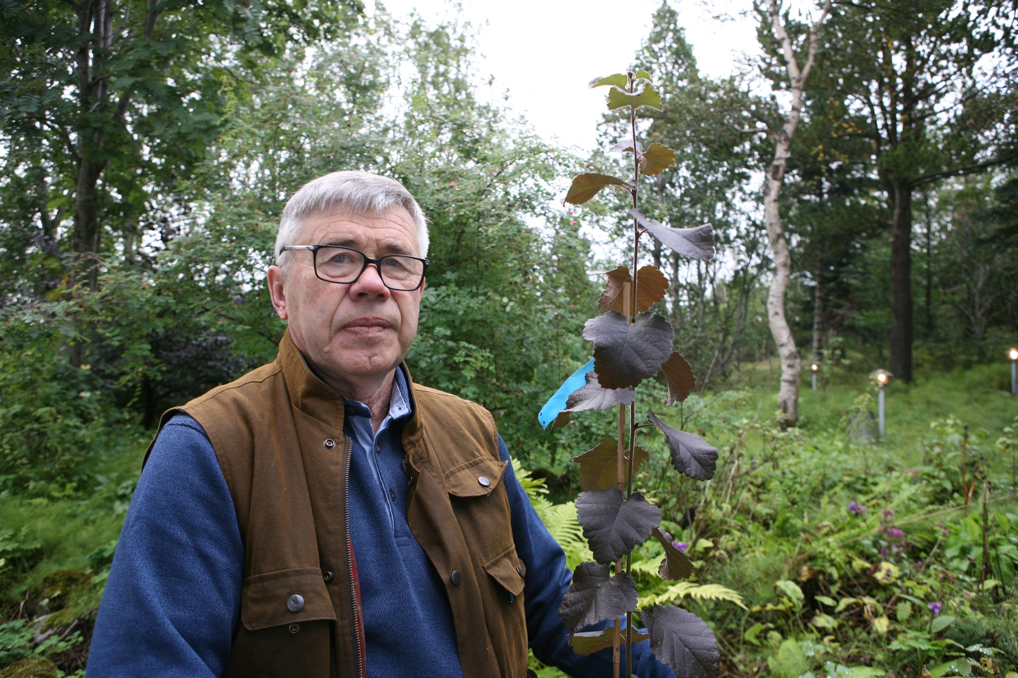 Fálkaorða fyrir plöntukynbætur