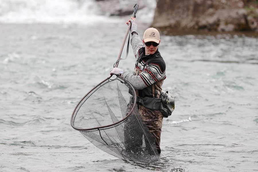 Lax á leiðinni í háfinn í Norðurá í Borgar­firði.