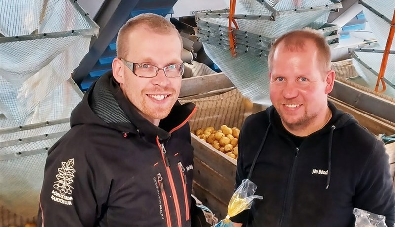 Kolvetnasnauðu Queen Anne kartöflurnar fá góðar viðtökur