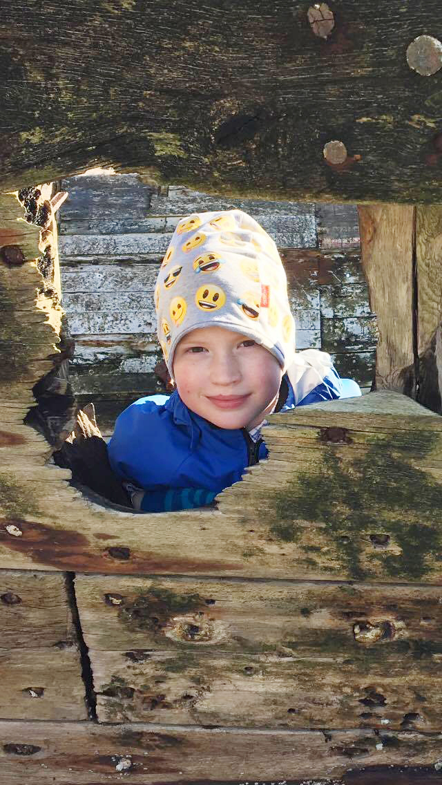 Var með krabba, kuðunga og fleira sem gæludýr á pallinum