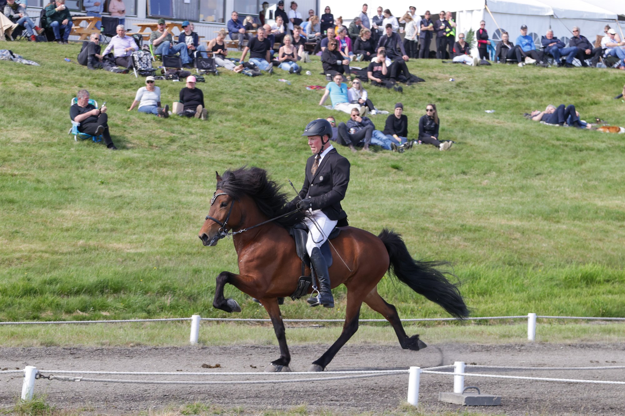 Sýningarárið 2021