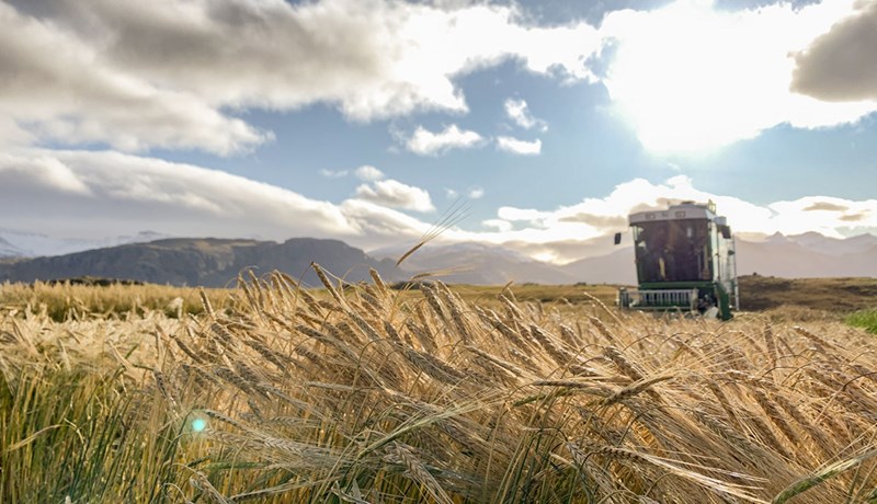 Landslagið í landbúnaði og matvælaframleiðslu