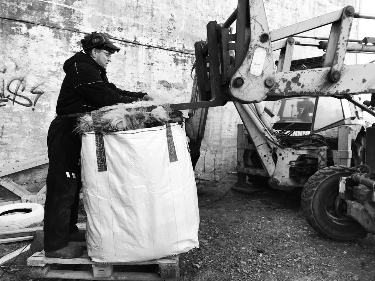 Sauðfjárslátrun allt árið