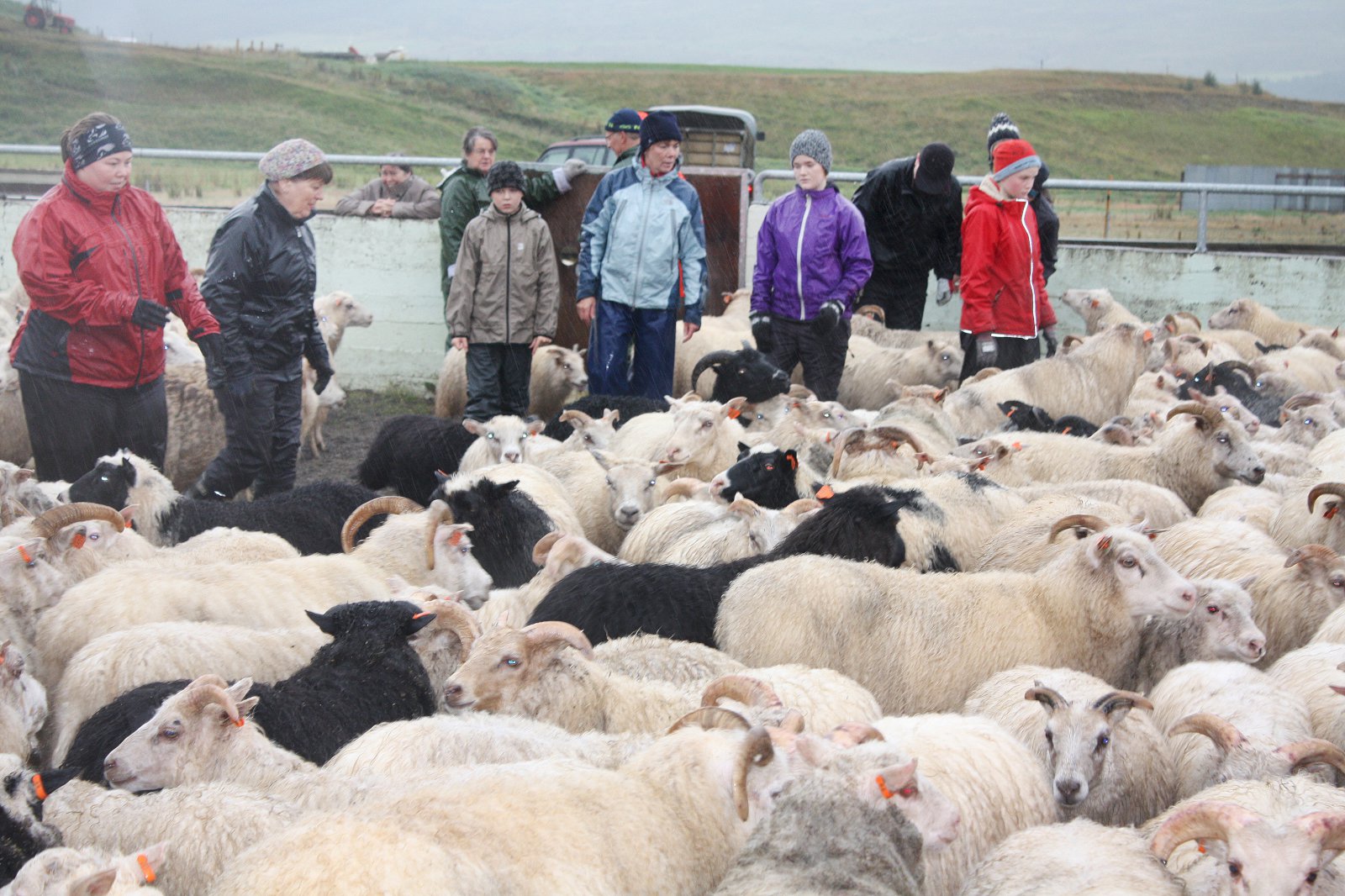 Réttardagar á komandi hausti