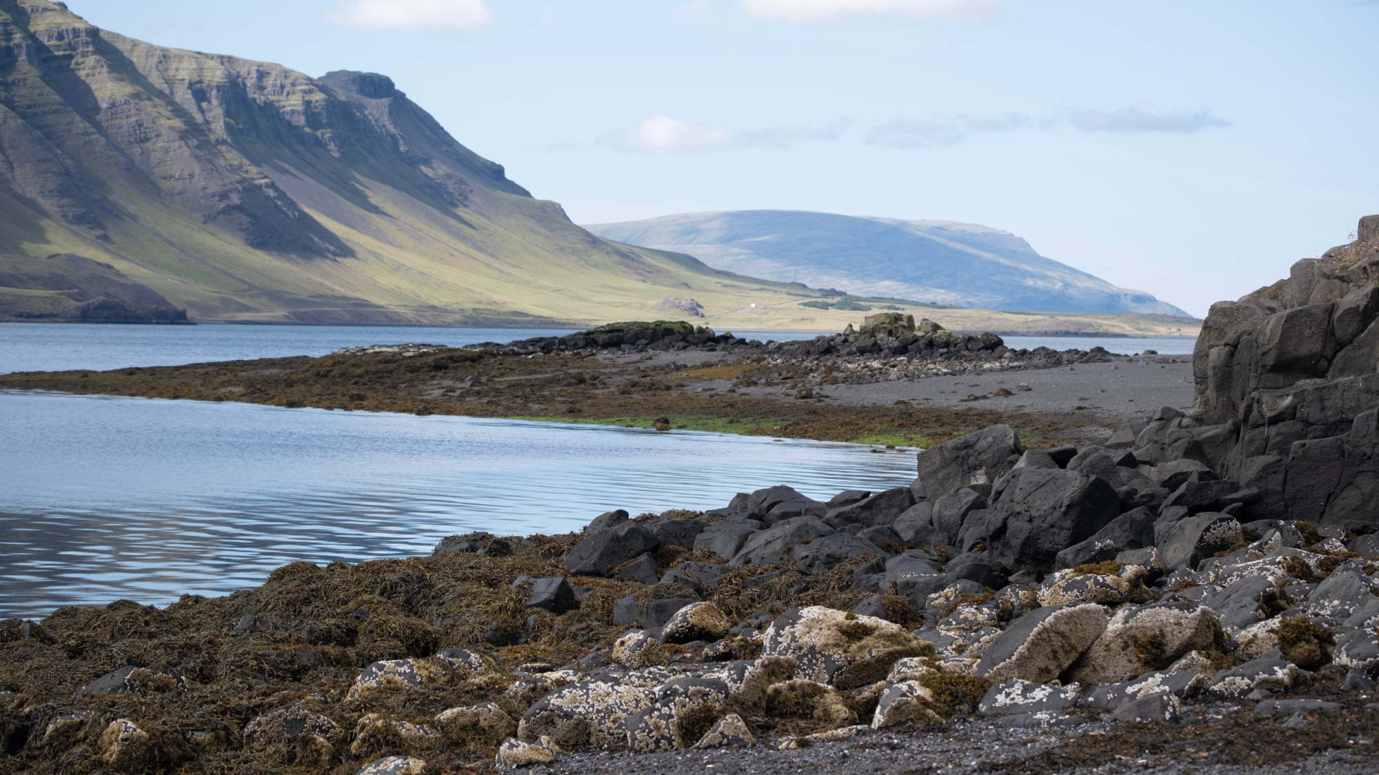 Frá Alsír til Hvalfjarðar