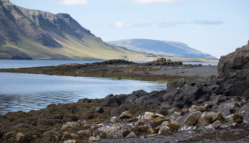 Frá Alsír til Hvalfjarðar
