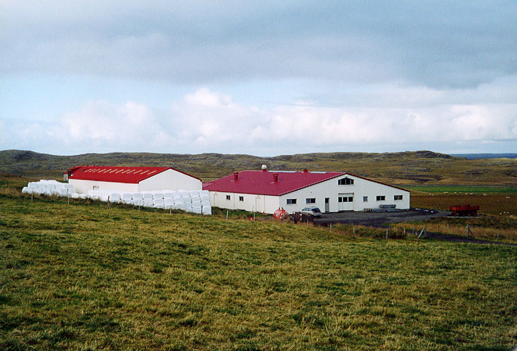 Úrvalstilraunir með búfé og tilraunadýr – 2. hluti