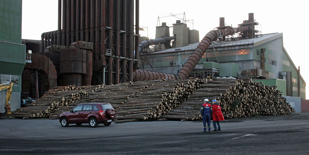Skógrækt er fjárfestingarkostur