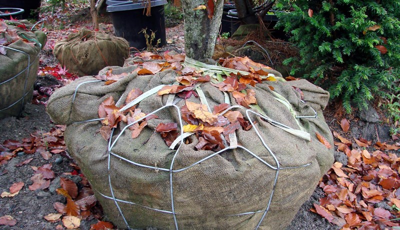 Haustverkin í garðinum