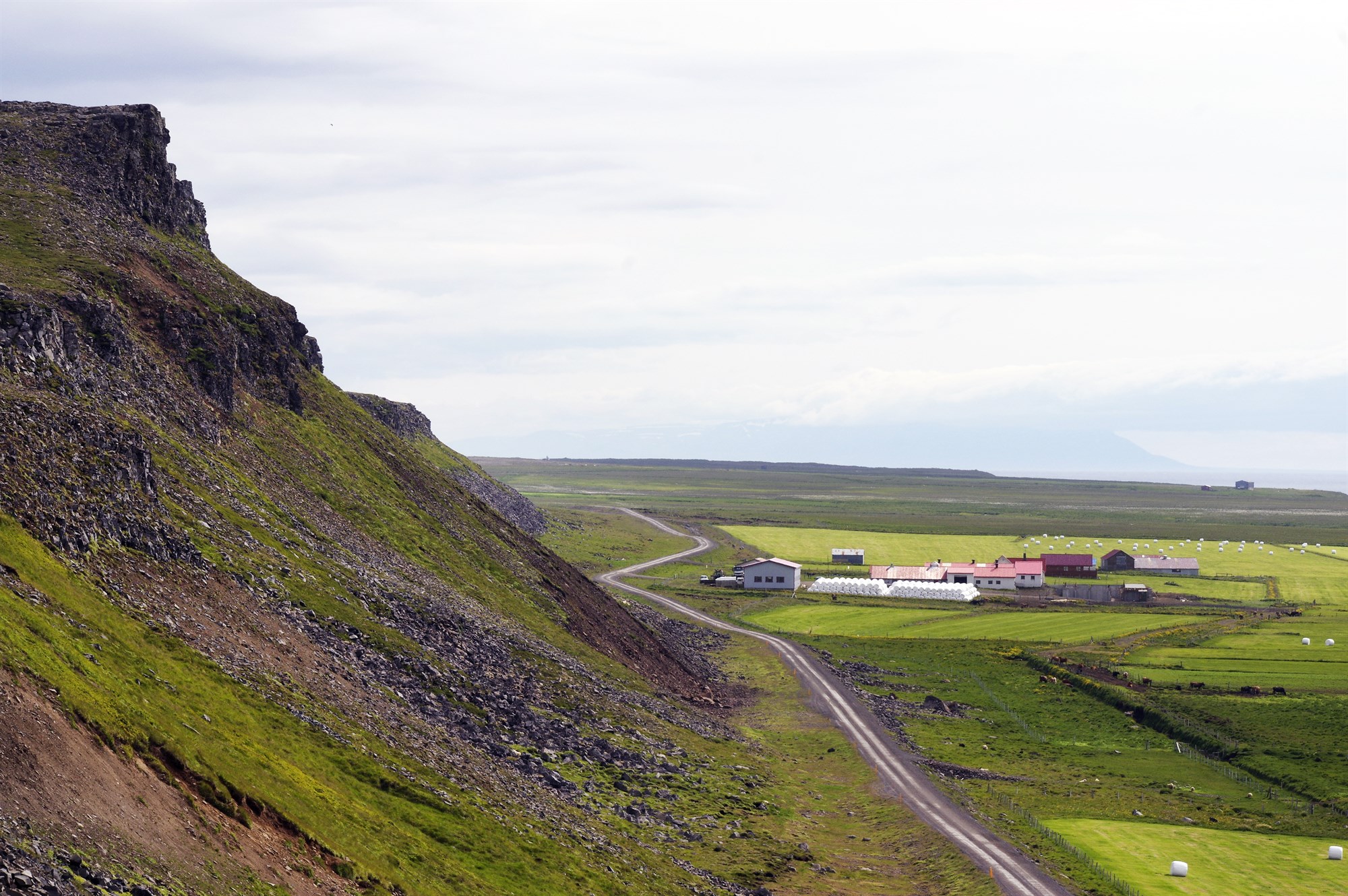 Nýtt ár og aukin tækifæri