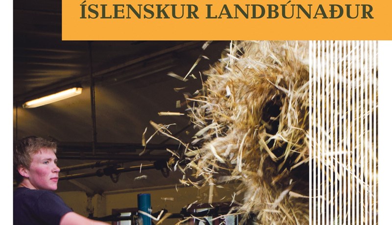 Mikið í húfi