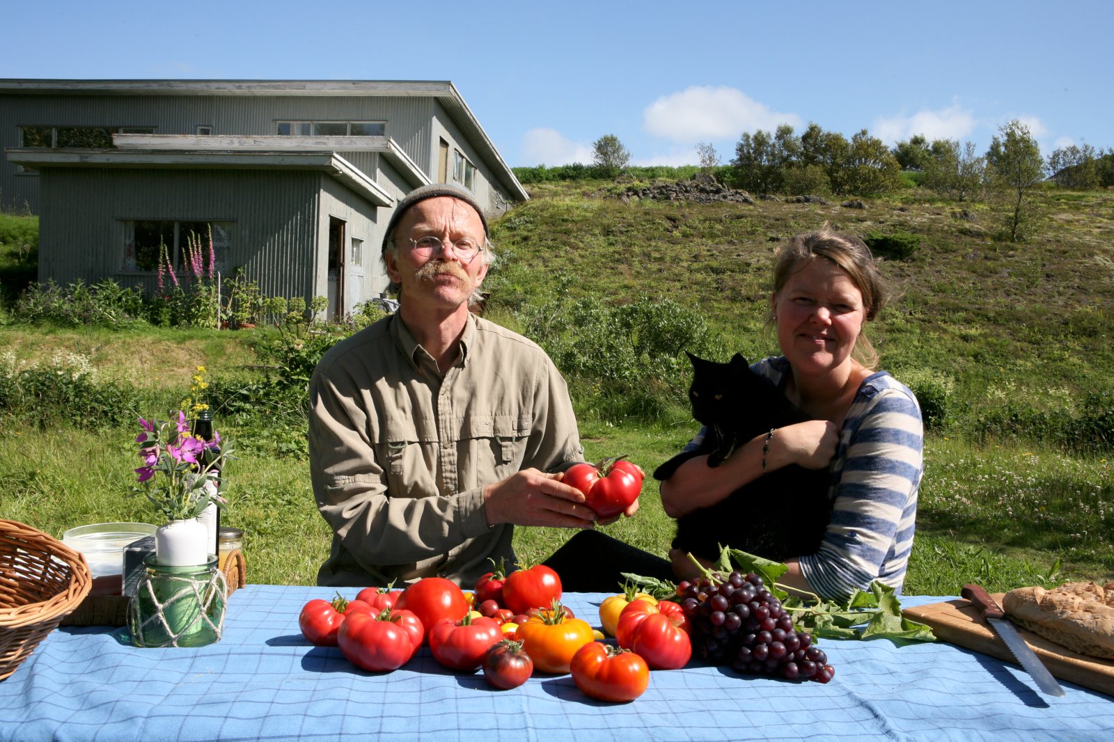 Í Tómatalandi Ponzi