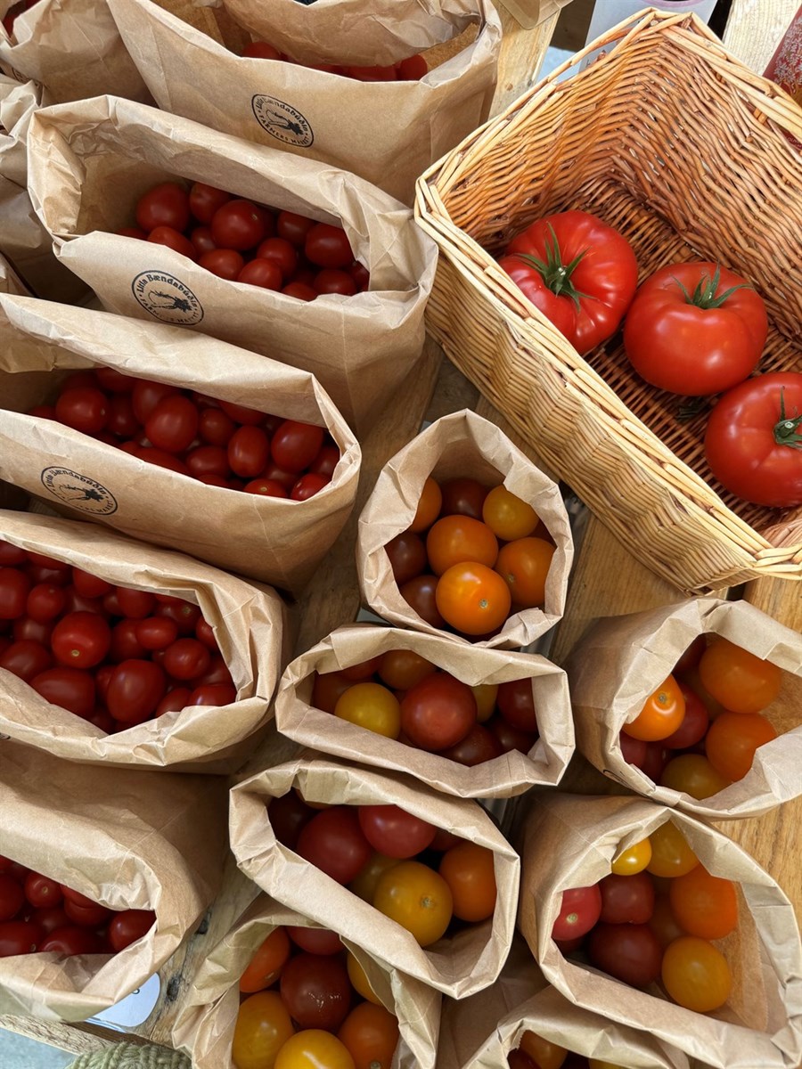 Ákveðnir veikleikar í eftirliti