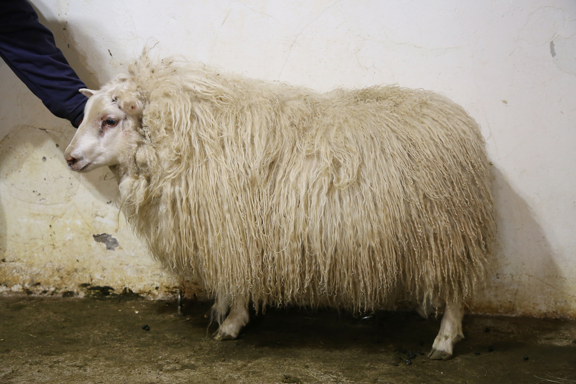 Hvernig kom haustið út?