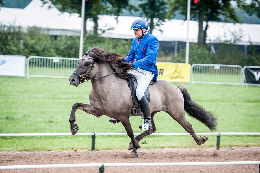 Grani frá Torfunesi á heimsmeistaramóti Íslenska hestsins, knapi er Sigurður V. Matthíasson.