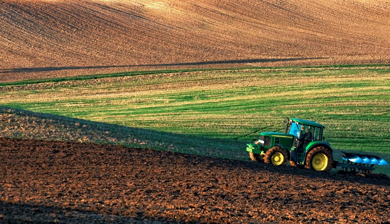 Fæðuöryggi með öflugum landbúnaði