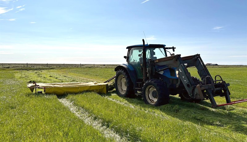 Stutt við nýliða í búskap og ættliðaskipti