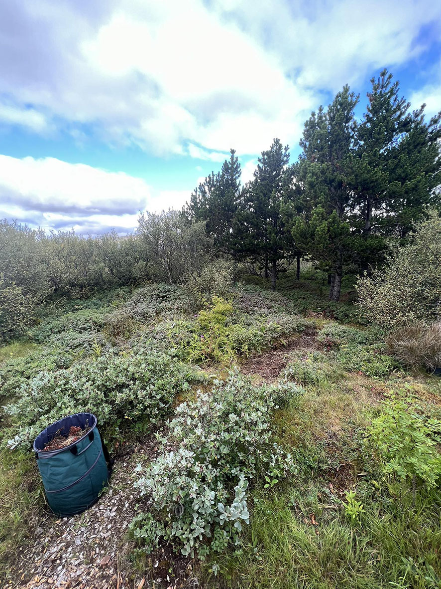 Gott samstarf gulli betra