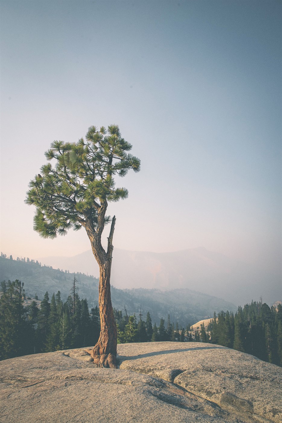 GANNI tískuhús telur kolefnisjöfnun ekki framtíðarlausn