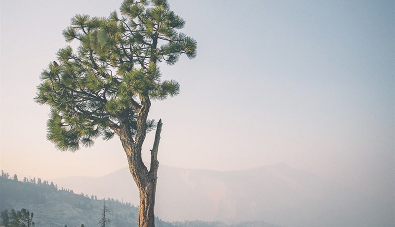 GANNI tískuhús telur kolefnisjöfnun ekki framtíðarlausn