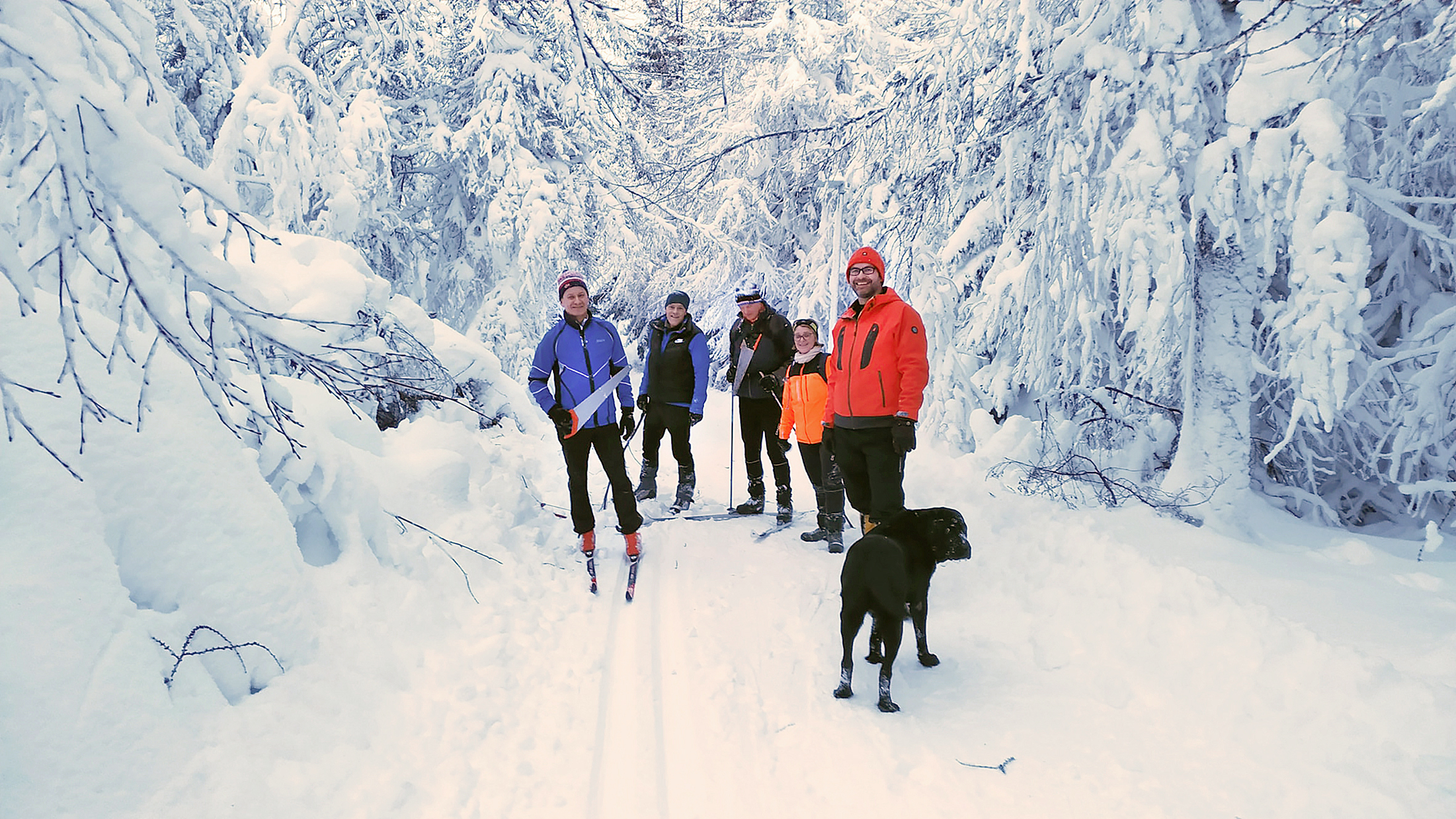 Mikil vinna við lagfæringar í Kjarnaskógi þegar vorar