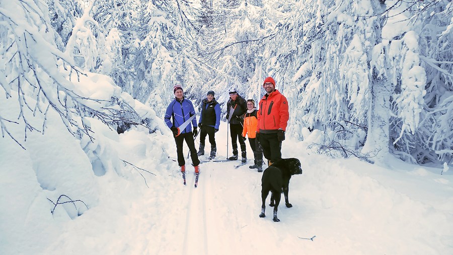 Mikil vinna við lagfæringar í Kjarnaskógi þegar vorar