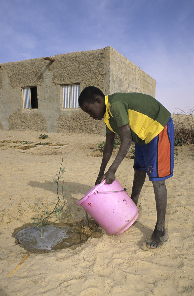 Stefnt að plöntun trjáa í 350 milljónir hektara