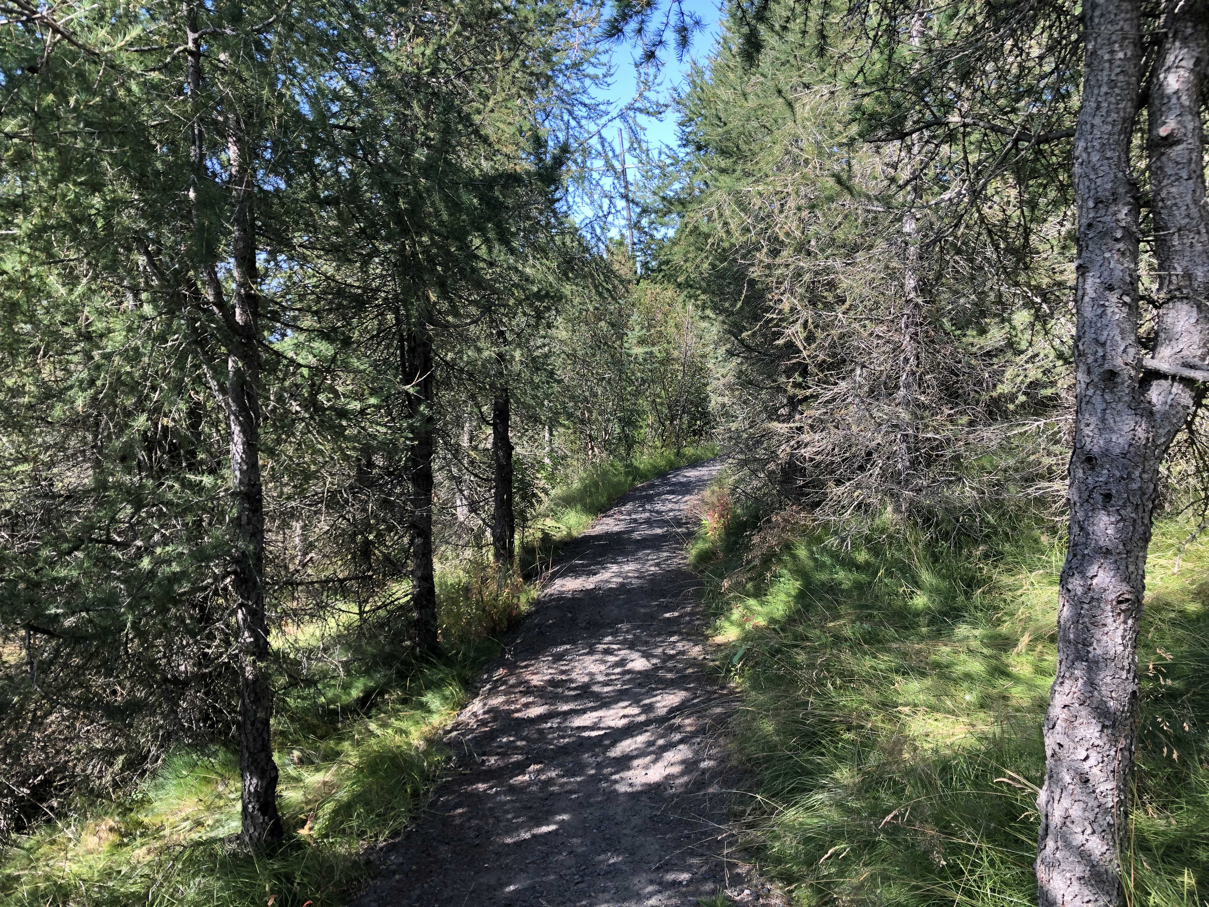 Alls engar illdeilur milli stofnananna