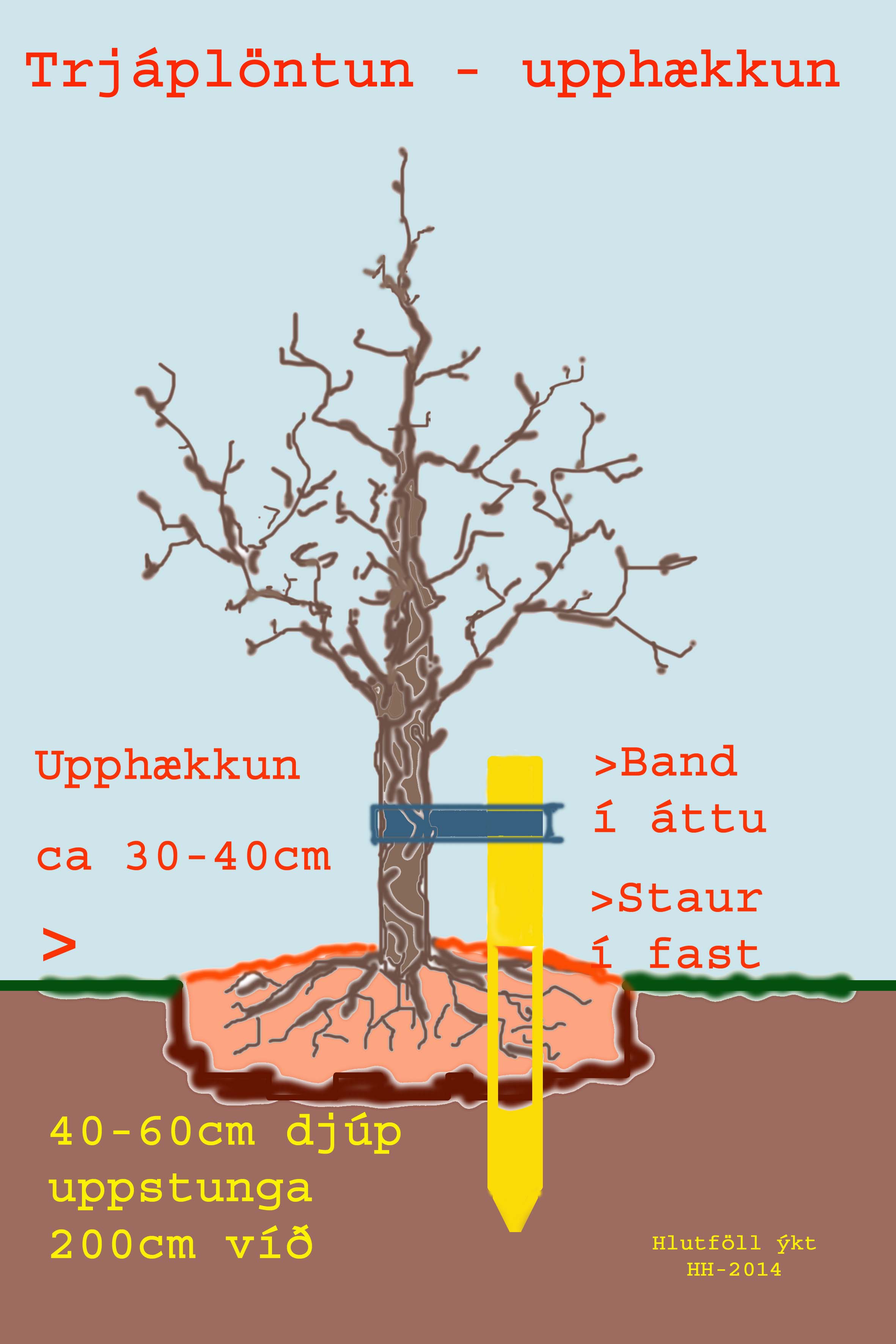 Haustgróðursetning trjágróðurs