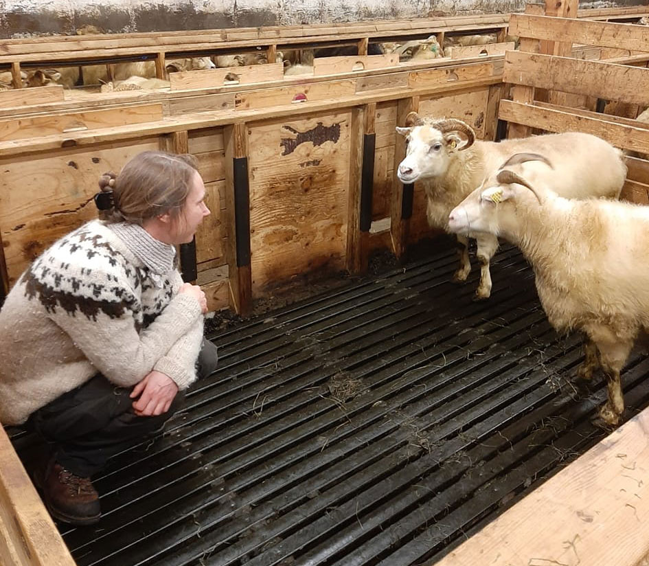 Enn leitað að verndandi arfgerðum